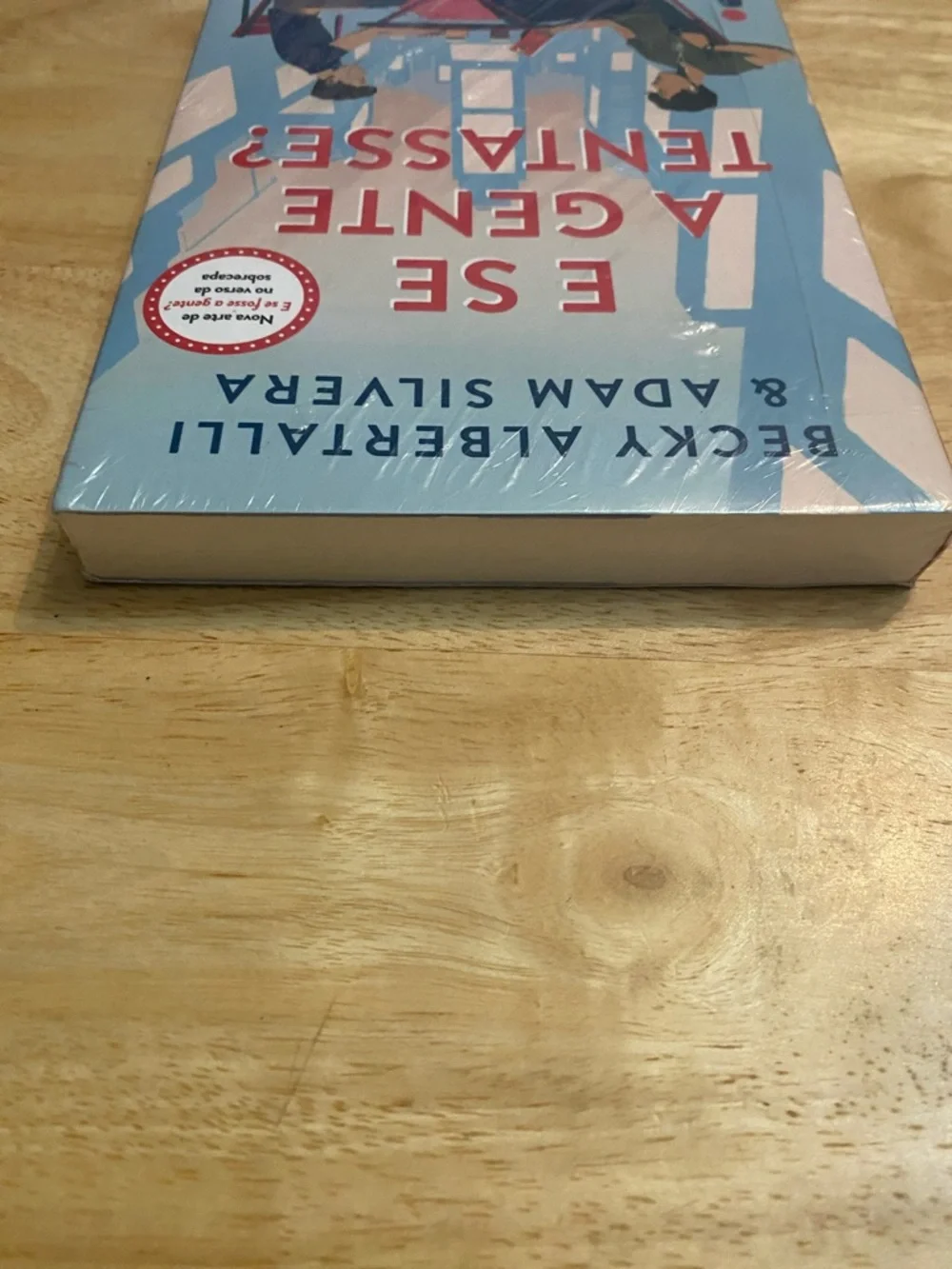 E Se A Gente Tentasse? Becky Albertalli & Adam Silvera Paperback Book